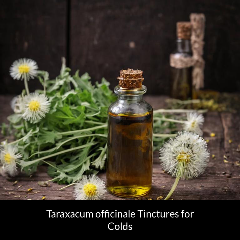 herbal tinctures for colds taraxacum officinale herbs