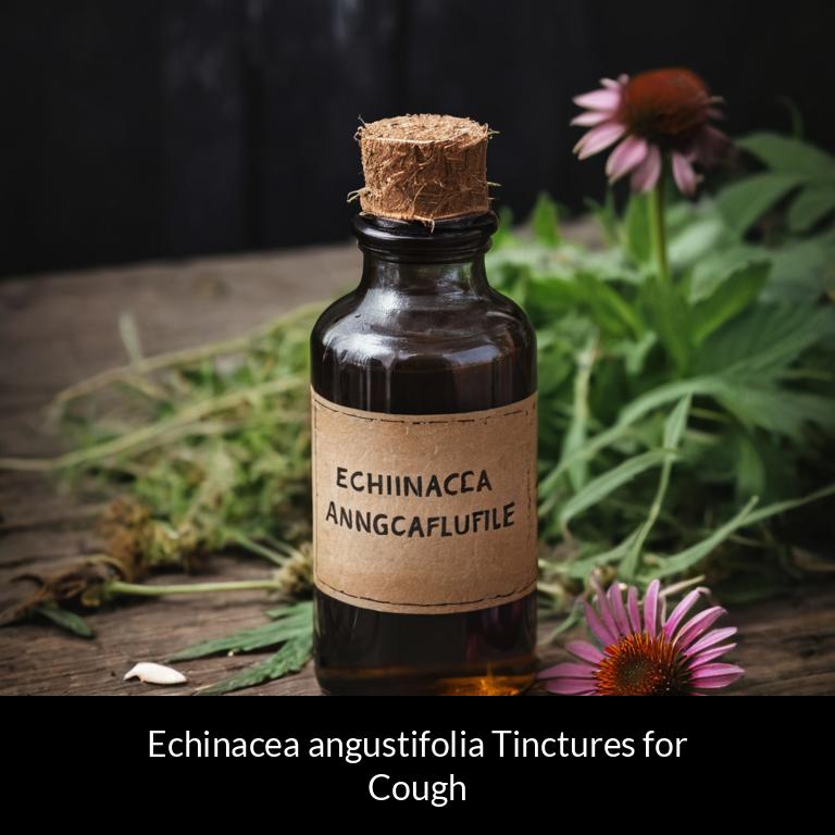 herbal tinctures for cough echinacea angustifolia herbs