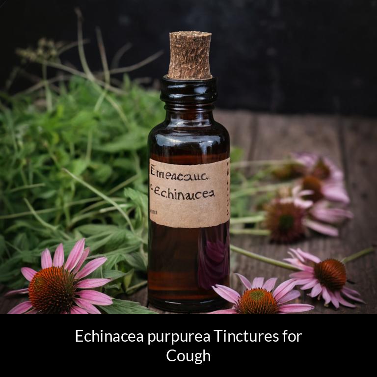 herbal tinctures for cough echinacea purpurea herbs