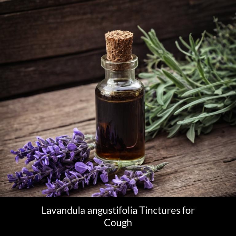 herbal tinctures for cough lavandula angustifolia herbs