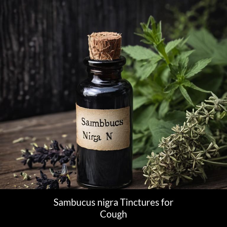 herbal tinctures for cough sambucus nigra herbs
