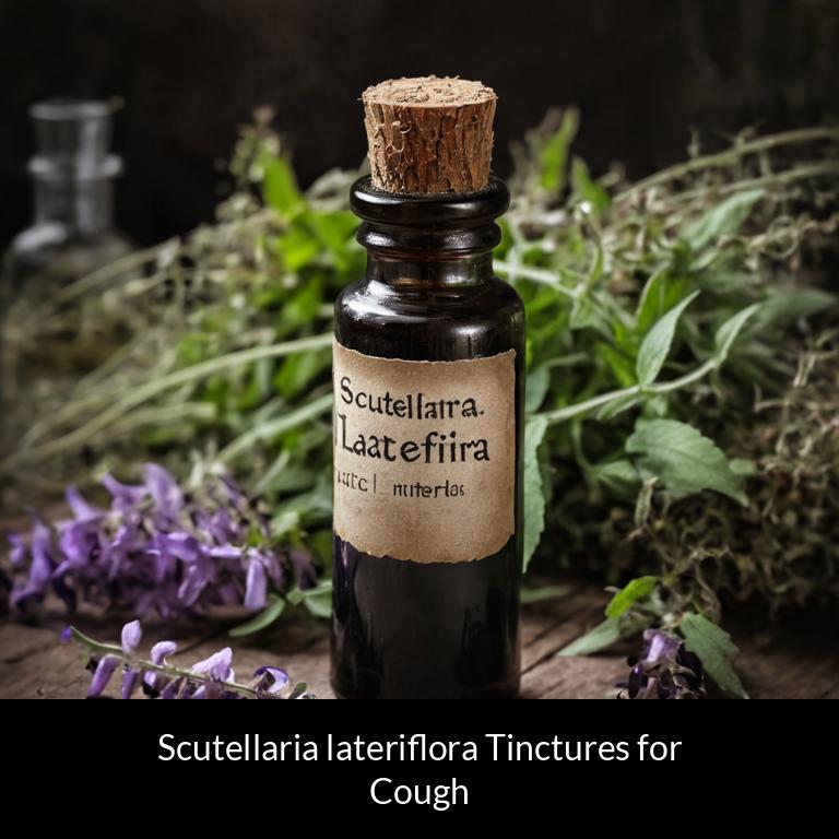 herbal tinctures for cough scutellaria lateriflora herbs