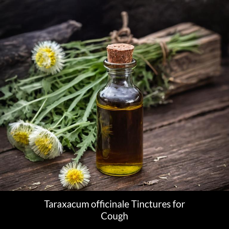 herbal tinctures for cough taraxacum officinale herbs