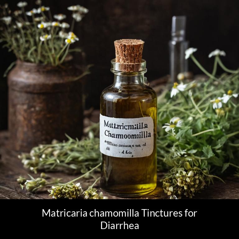 herbal tinctures for diarrhea matricaria chamomilla herbs