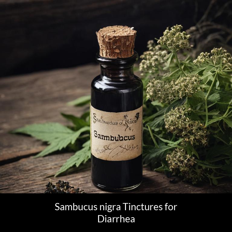 herbal tinctures for diarrhea sambucus nigra herbs