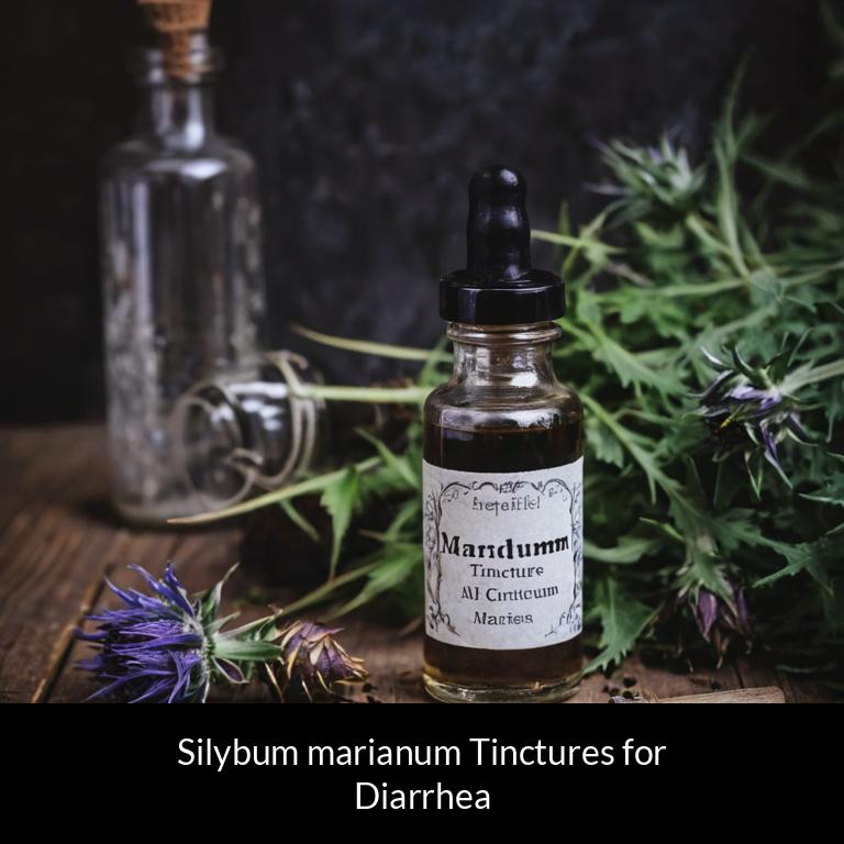 herbal tinctures for diarrhea silybum marianum herbs