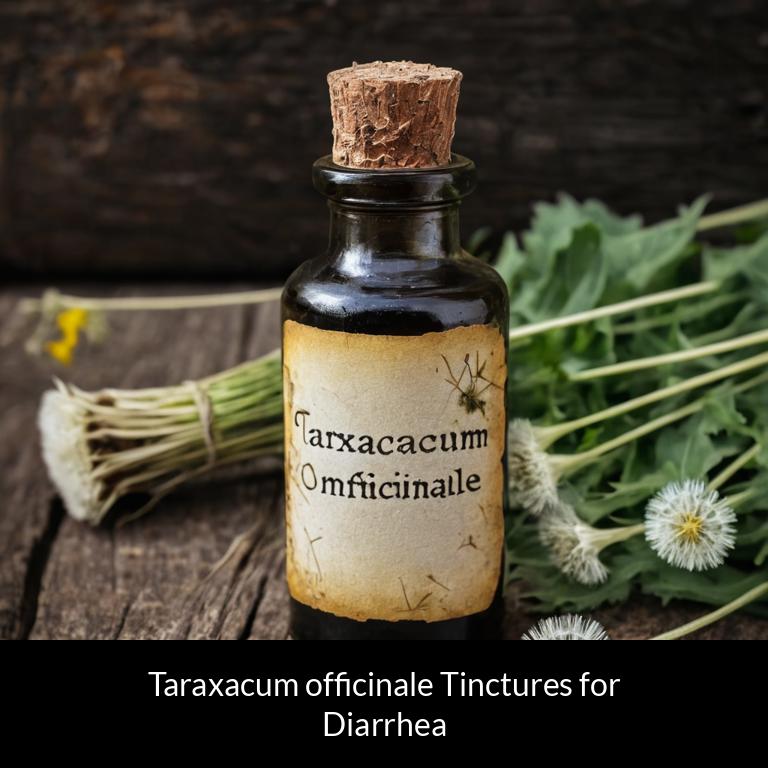 herbal tinctures for diarrhea taraxacum officinale herbs