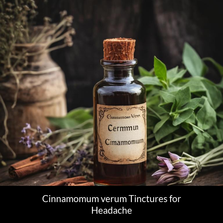 herbal tinctures for headache cinnamomum verum herbs