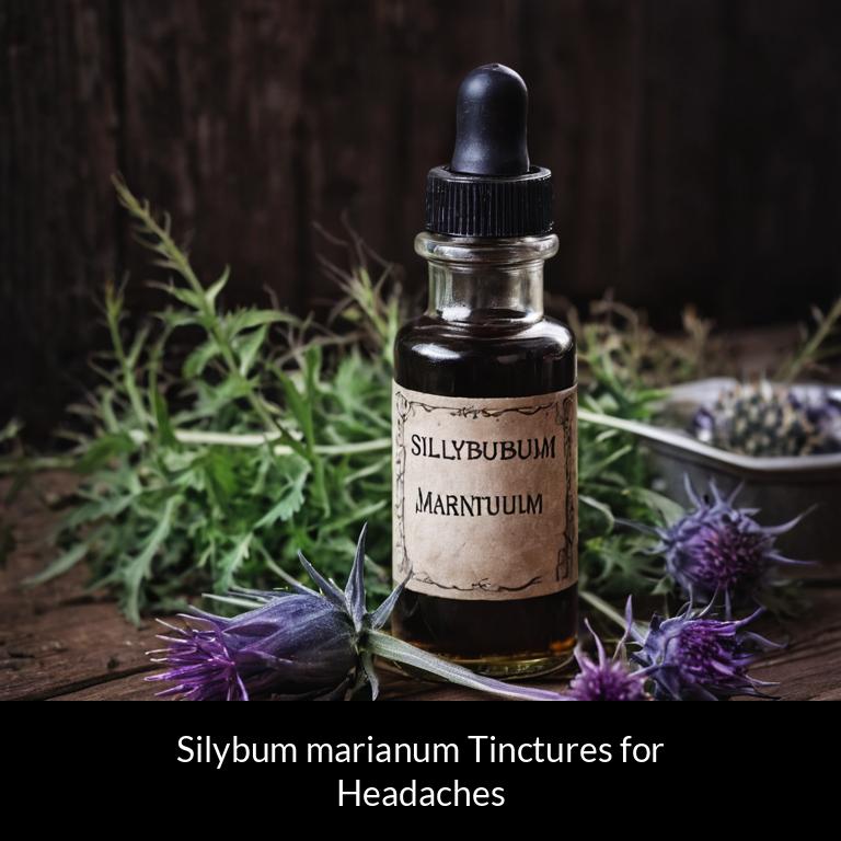 herbal tinctures for headache silybum marianum herbs