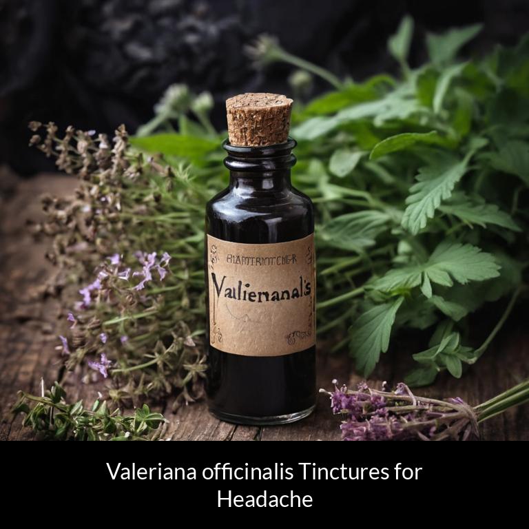 herbal tinctures for headache valeriana officinalis herbs