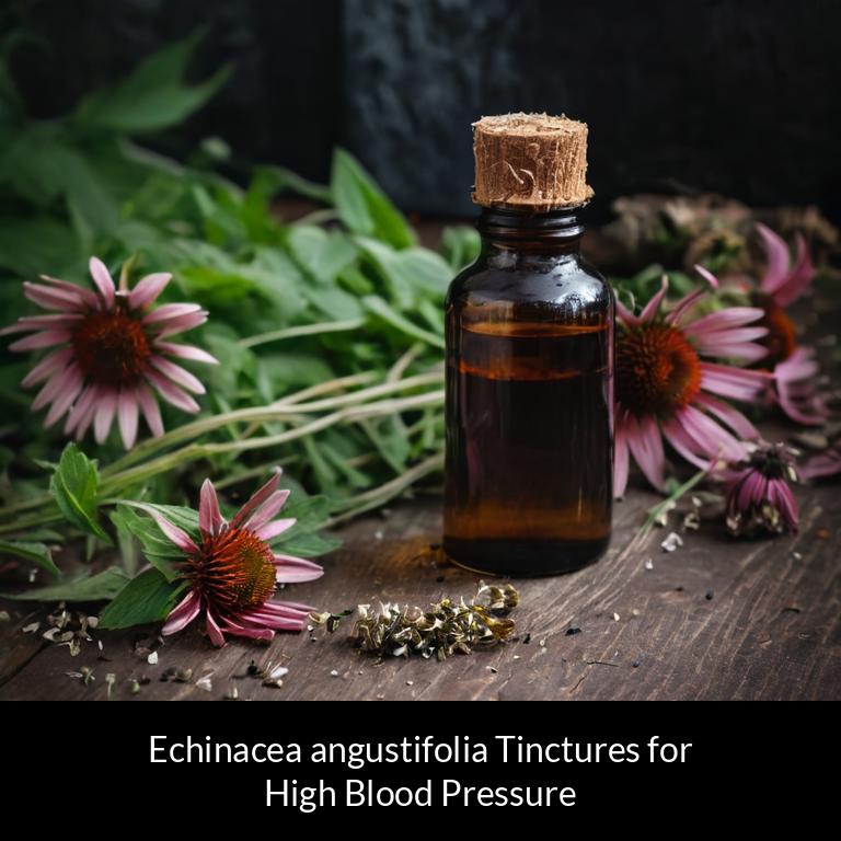 herbal tinctures for high blood pressure echinacea angustifolia herbs