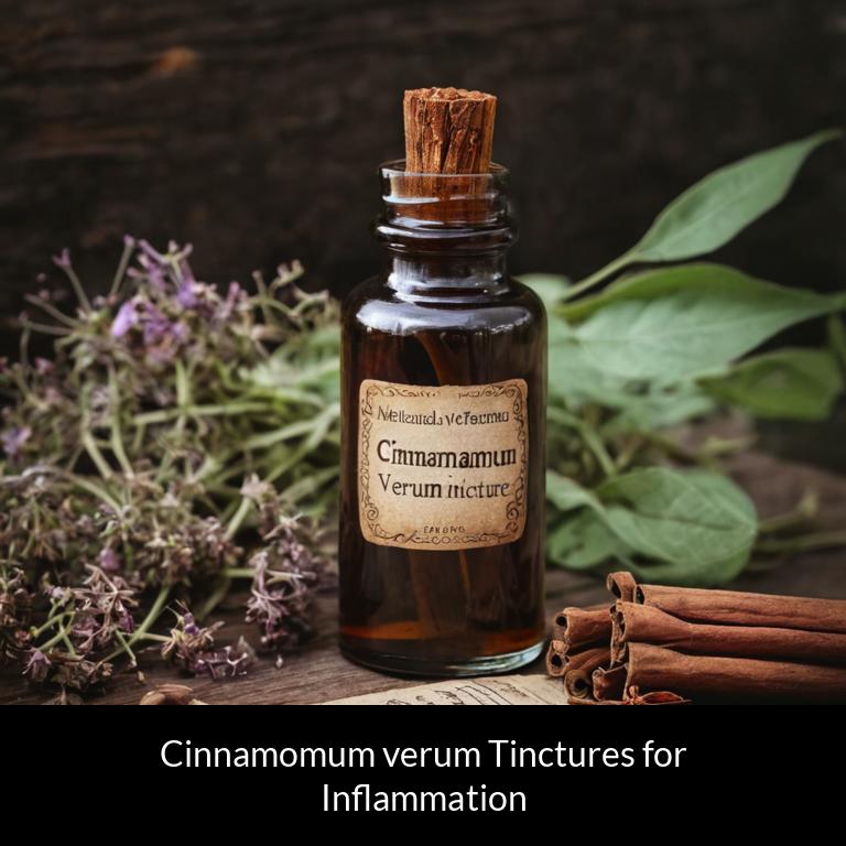 herbal tinctures for inflammation cinnamomum verum herbs