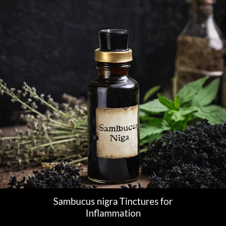 herbal tinctures for inflammation sambucus nigra herbs