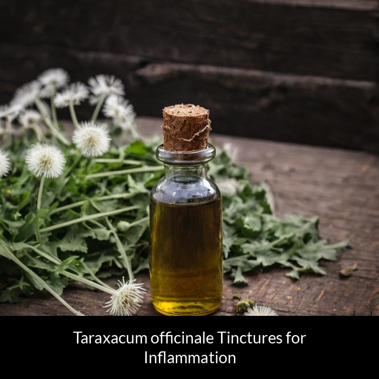 herbal tinctures for inflammation taraxacum officinale herbs
