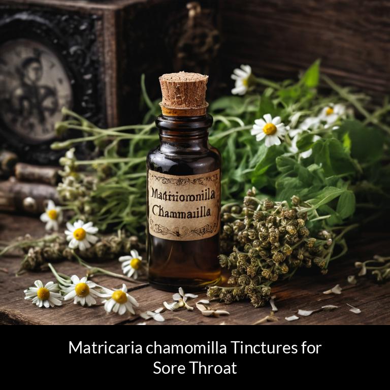 herbal tinctures for sore throat matricaria chamomilla herbs