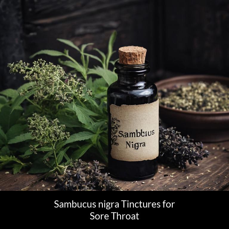 herbal tinctures for sore throat sambucus nigra herbs