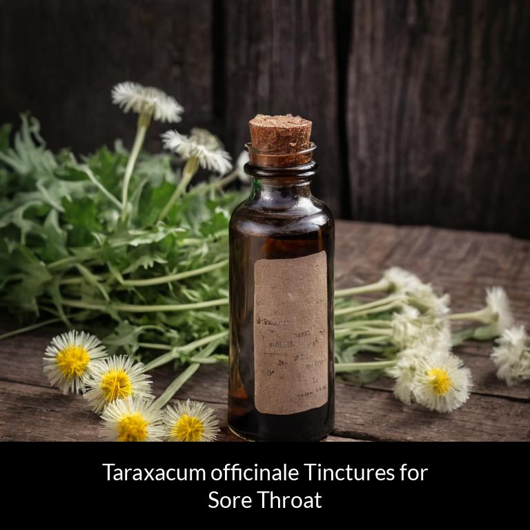 herbal tinctures for sore throat taraxacum officinale herbs