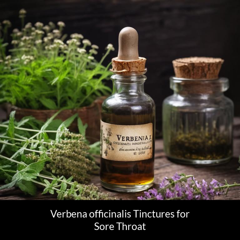 herbal tinctures for sore throat verbena officinalis herbs