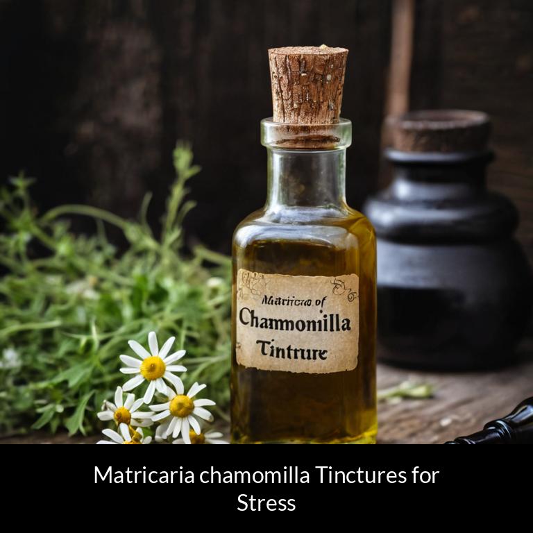 herbal tinctures for stress matricaria chamomilla herbs