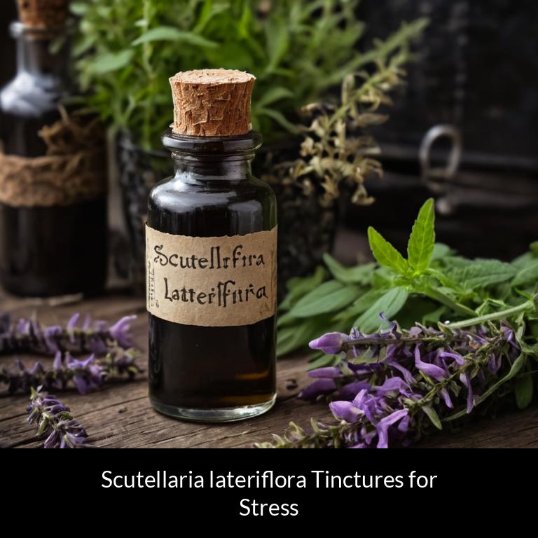 herbal tinctures for stress scutellaria lateriflora herbs