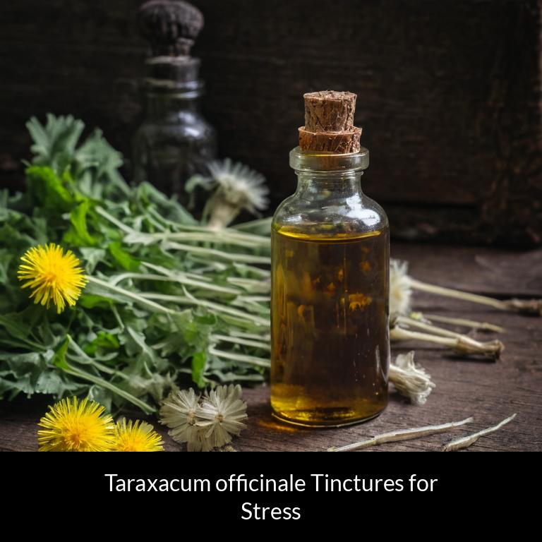 herbal tinctures for stress taraxacum officinale herbs