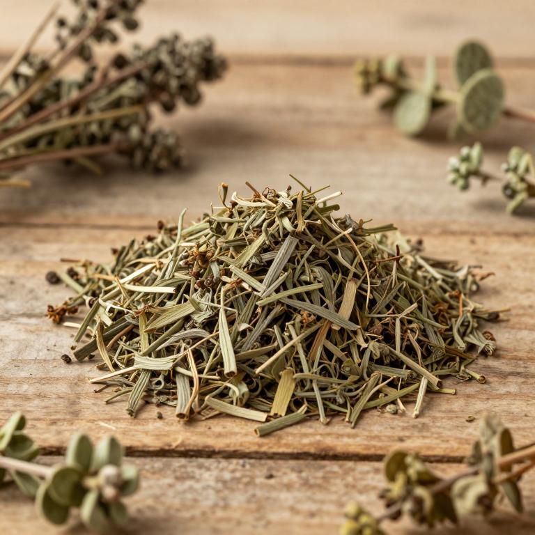 Acacia falcata