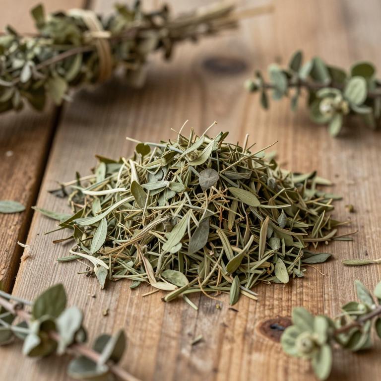 Adina cordifolia