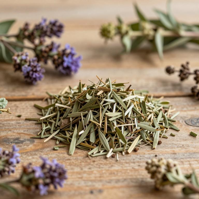 Agastache urticifolia