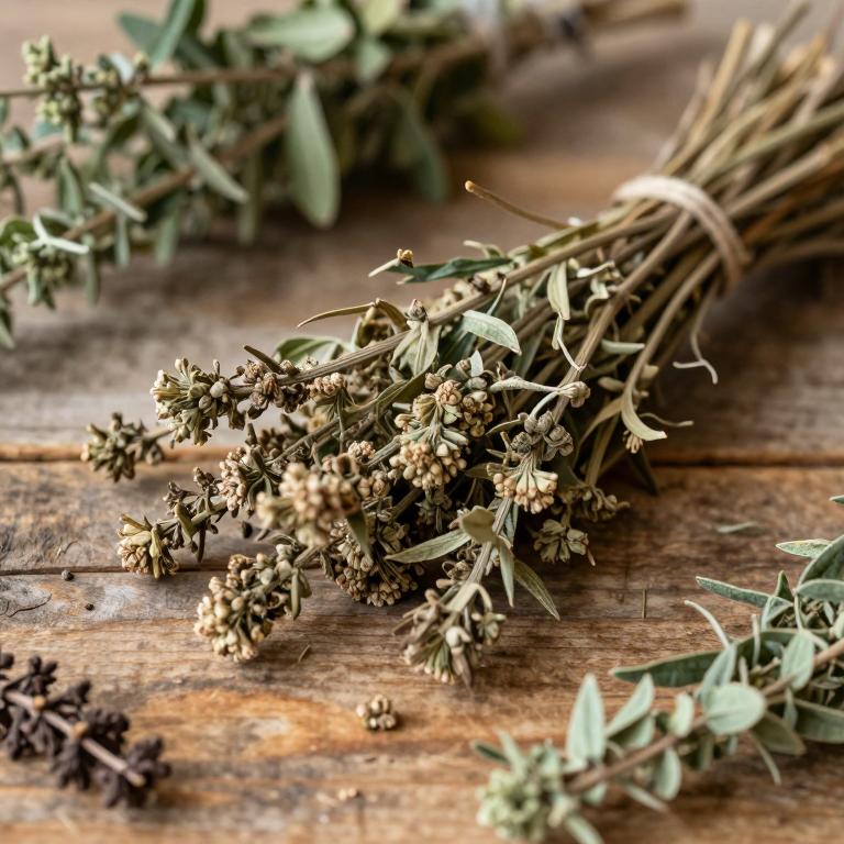 Ageratina ligustrina