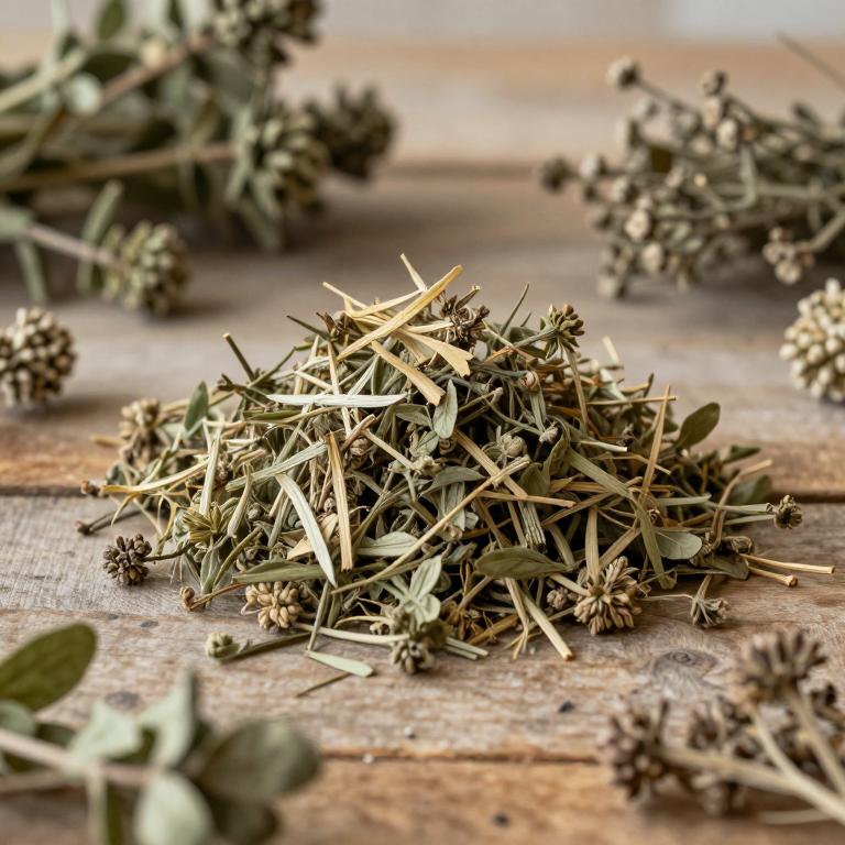 Ageratina petiolaris