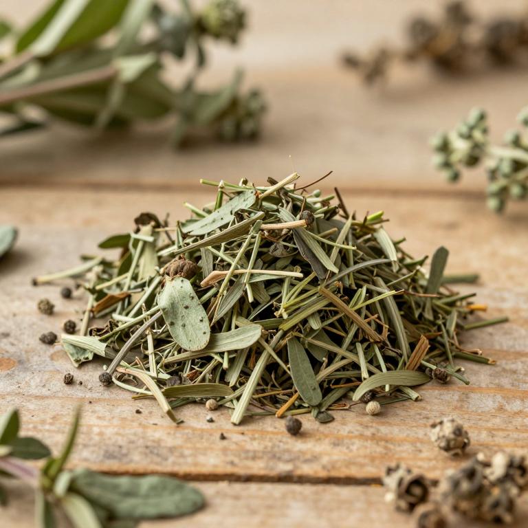 Alchemilla