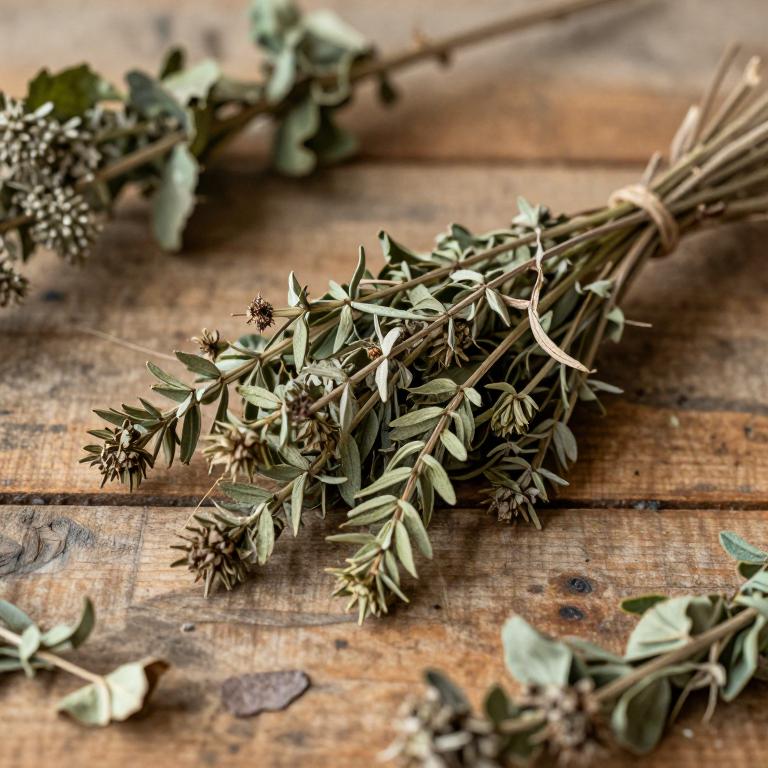 Alectra sessiliflora