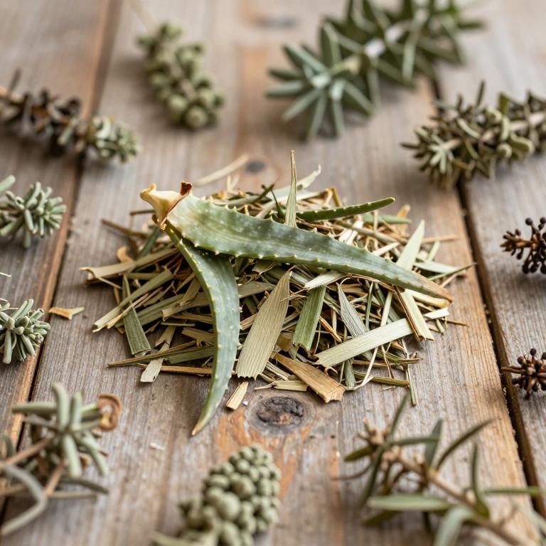 Aloe