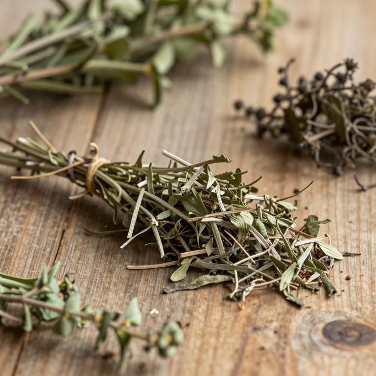 Alternanthera