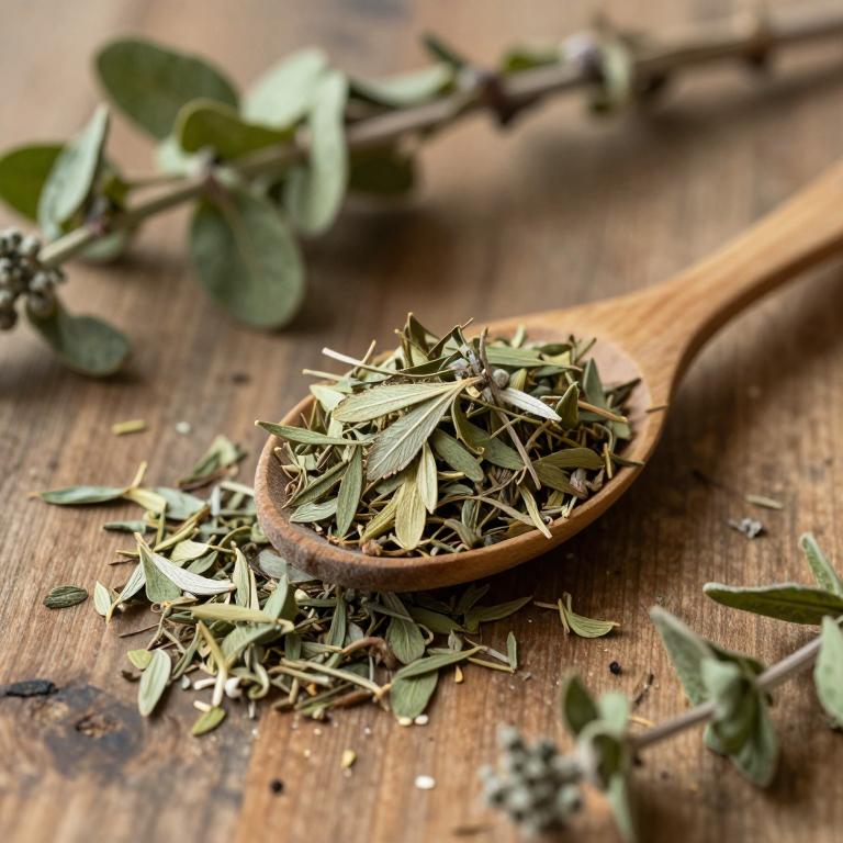 Anchietea pyrifolia
