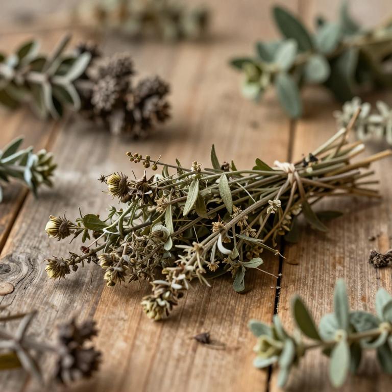 Androsace foliosa