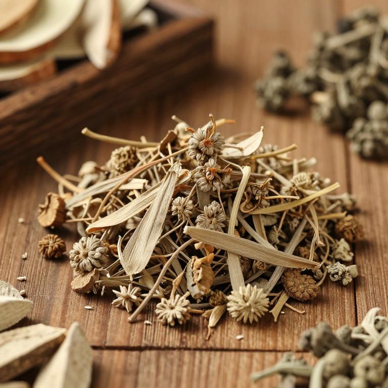 Angelica tianmuensis