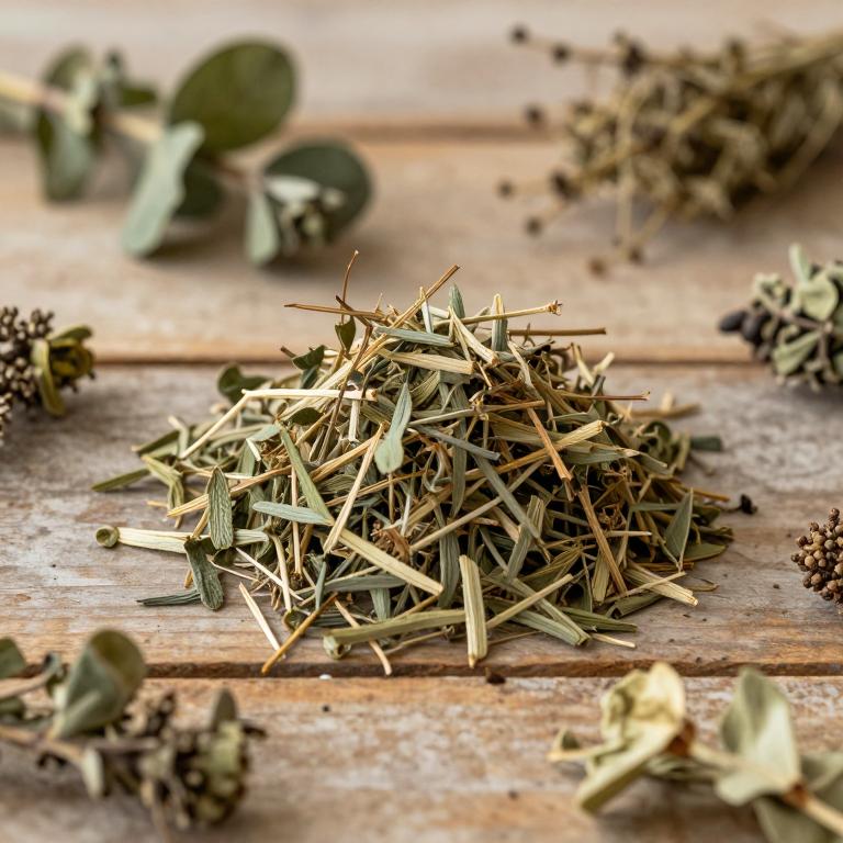 Anredera diffusa
