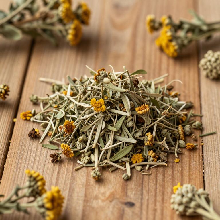 Artemisia alba