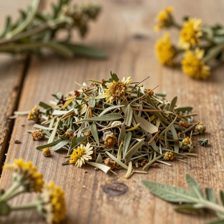 Artemisia amygdalina