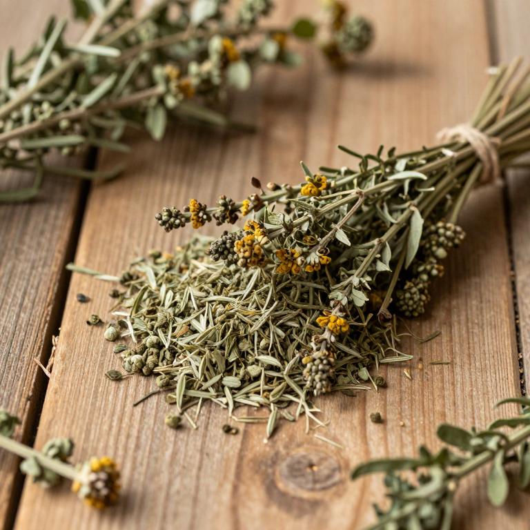 Artemisia arborescens