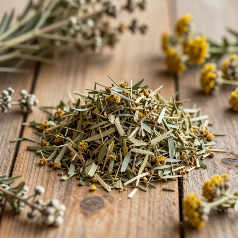Artemisia aucheri