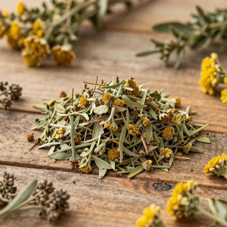 Artemisia biennis