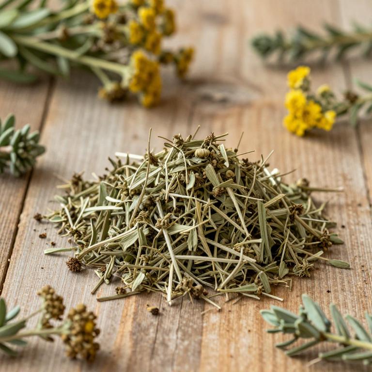 Artemisia campestris subsp. campestris