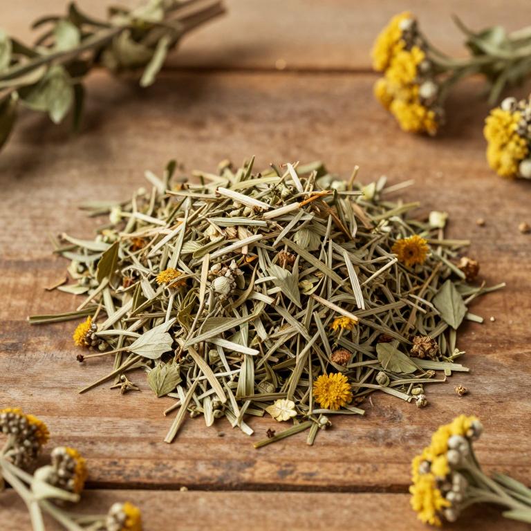 Artemisia chinensis