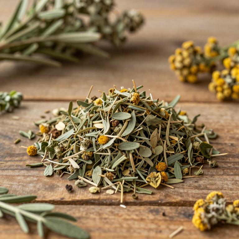 Artemisia codringtonii