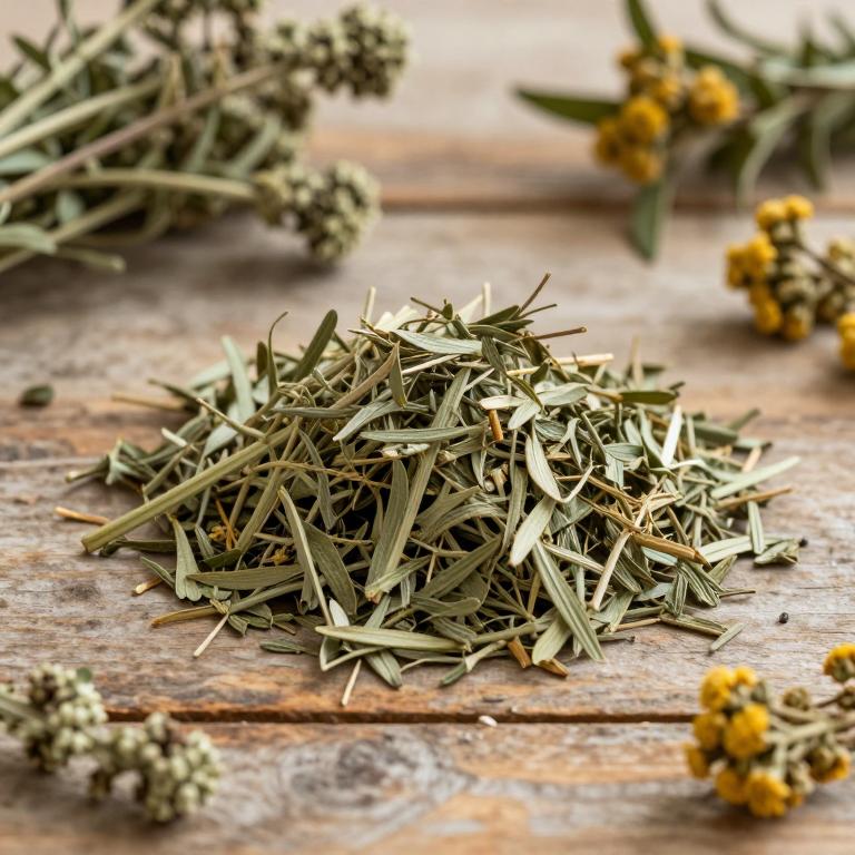 Artemisia crithmifolia