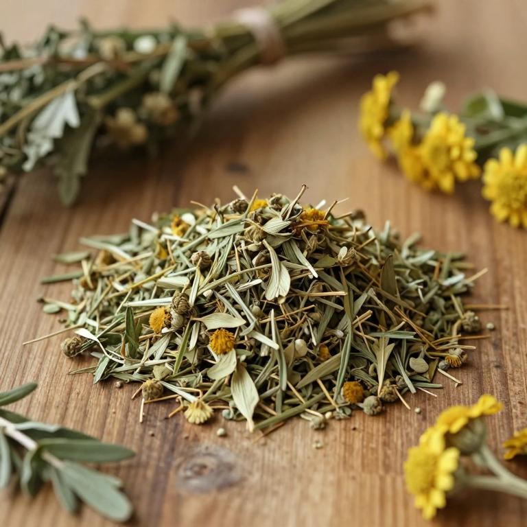 Artemisia fragrans
