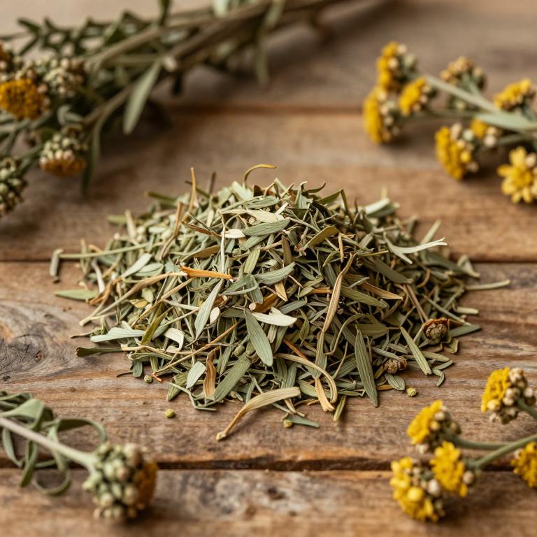 Artemisia giraldii