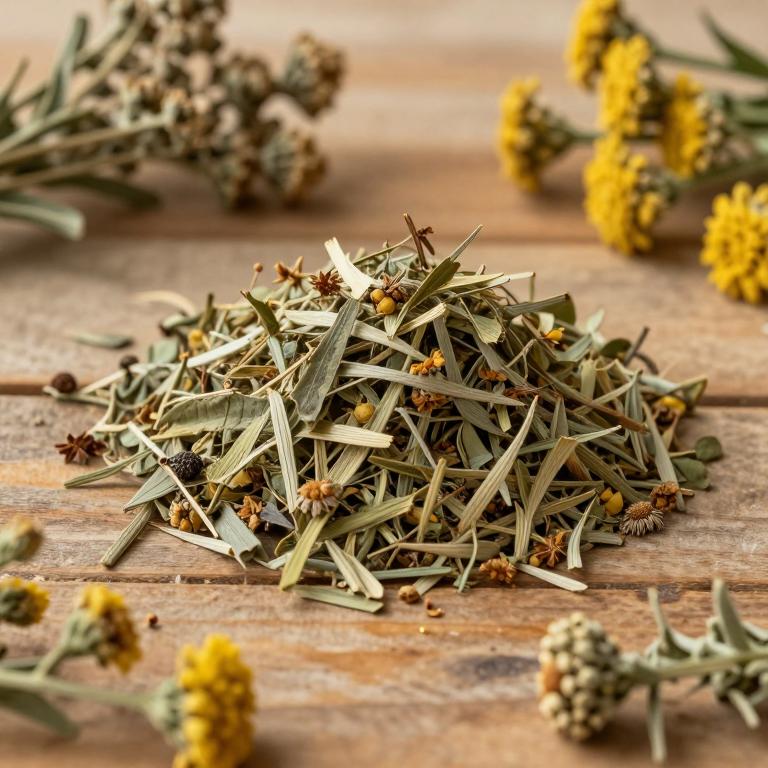 Artemisia glauca